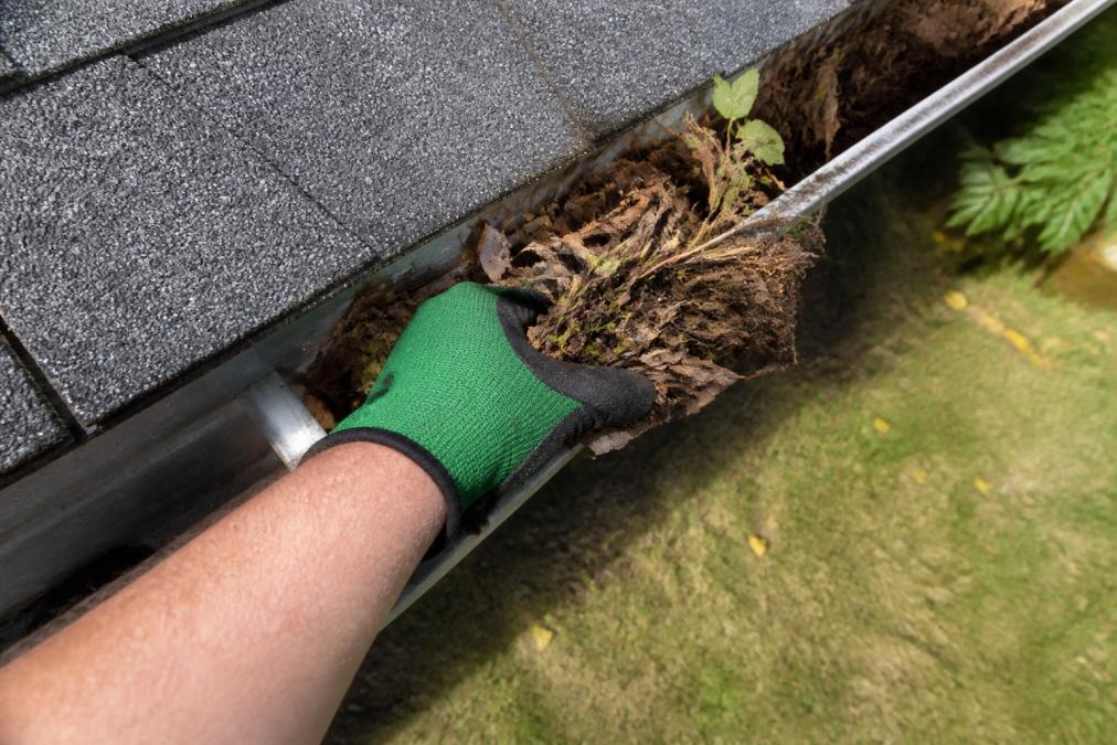 How to Clean Clogged Gutters: A Step-by-Step Guide