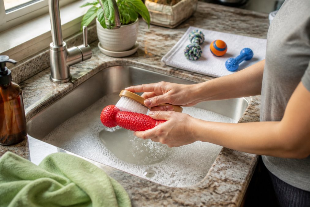Person scrubbing a rubber toy in a soapy kitchen sink to clean dog toys effectively with drying items nearby