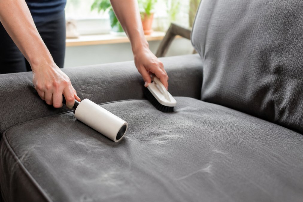 Close-up of hands using a lint roller and upholstery brush on a fabric couch with visible pet hair accumulation, natural daylight streaming through a window