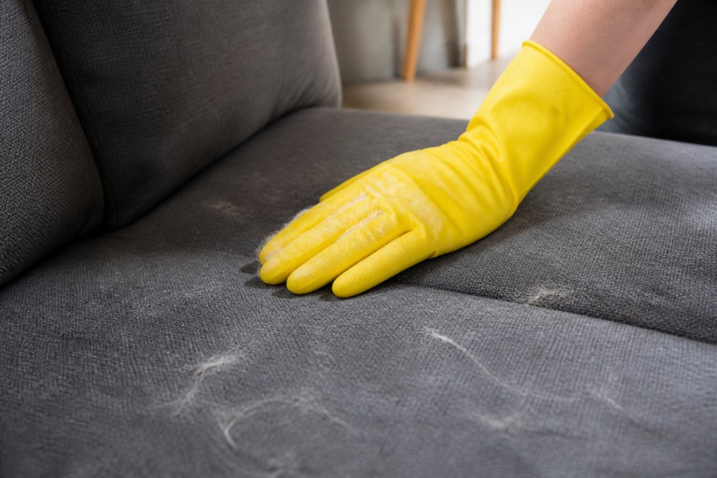 Close-up of a person wearing a yellow rubber glove running their hand across a gray fabric sofa cushion, with visible pet hair clumping on the glove surface in natural daylight
