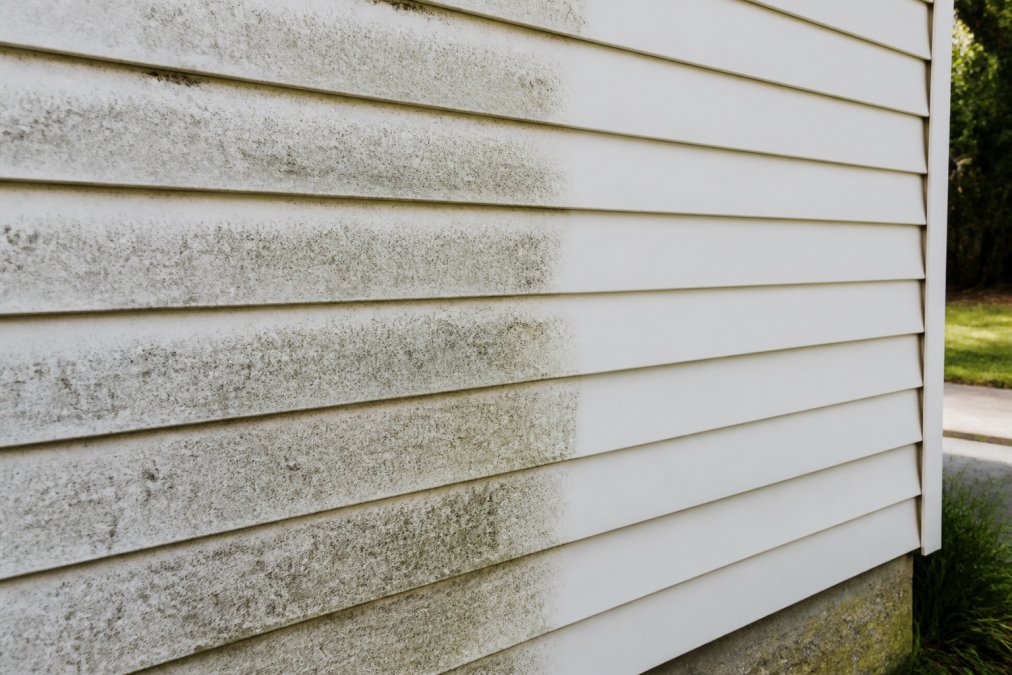 Close-up of mold and mildew growth on vinyl siding showing dark discoloration and affected areas before cleaning, with contrast to clean sections