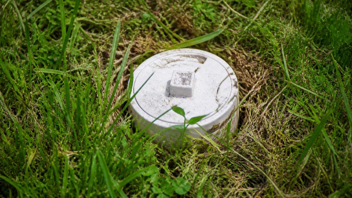 Close-up of a sewer cleanout cap in a residential yard showing the access point and surrounding grass area