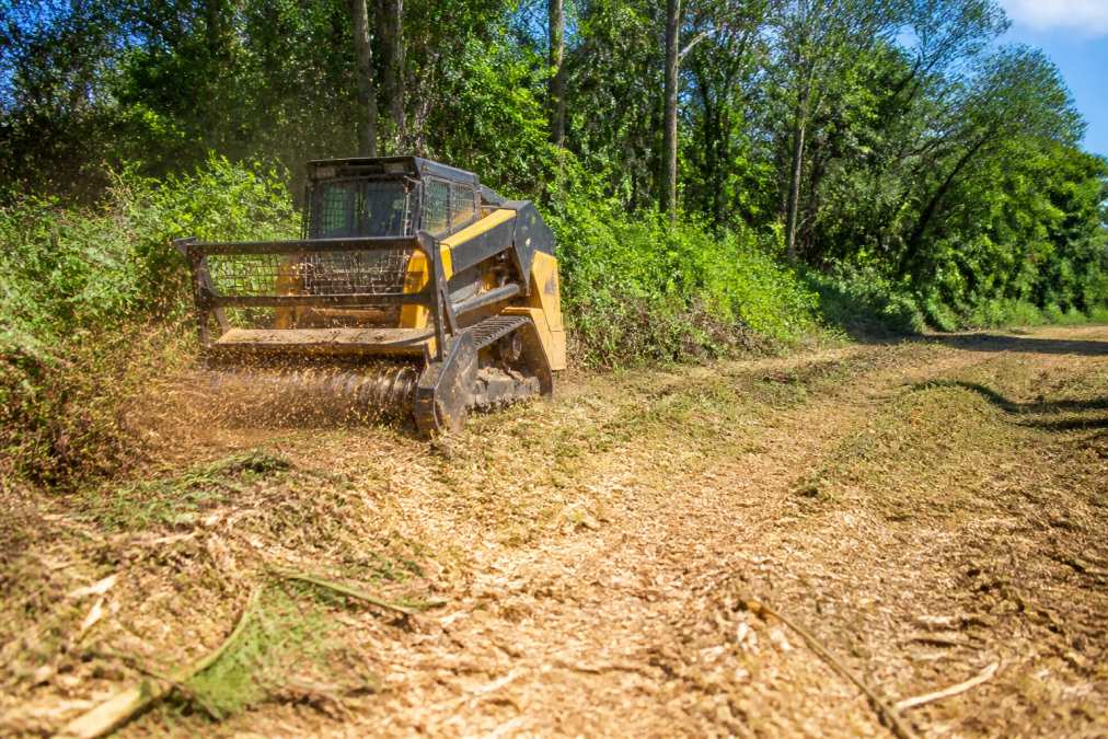 Professional forestry mulcher actively grinding dense overgrown vegetation into mulch on a rural property, with the machine creating a visible line of processed mulch on cleared ground under bright daylight