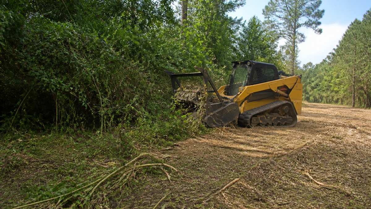 Professional land clearing equipment removing thick brush and overgrown vegetation from a rural property, with a visible transformation from dense overgrowth to cleared land showing improved sight lines