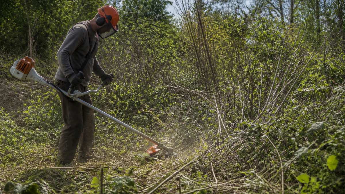 How to Clear Overgrown Brush: A Step-by-Step Guide