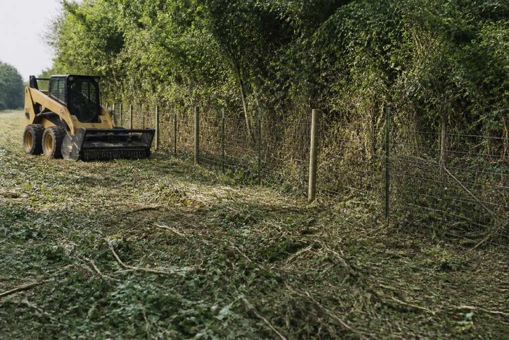 How to Clear Overgrown Fence Lines: A Step-by-Step Guide