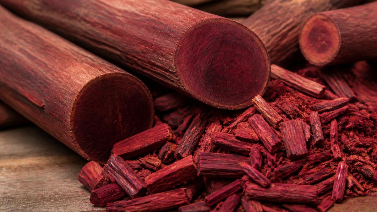 Infographic showing the red sandalwood investment demand cycle through polished logs and wood shavings.
