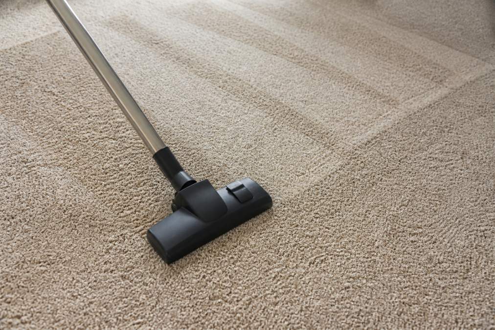 Close-up of carpet being vacuumed with overlapping passes, showing carpet pile texture and suction power in action