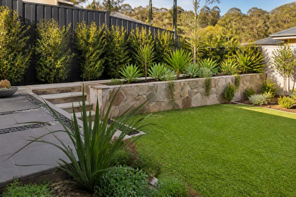 How to Design a Modern Low Maintenance Garden in Sydney