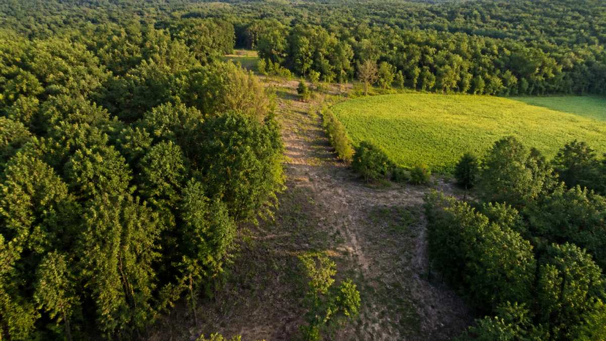 Diagram mapping deer travel corridors between bedding timber, food plots, and natural terrain saddles
