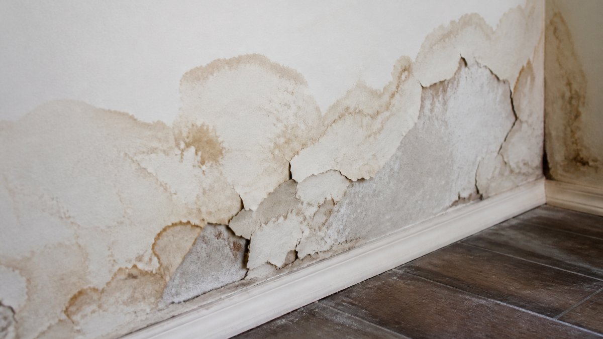 Infographic showing signs of moisture damage like peeling paint and stains to help detect hidden wall leaks