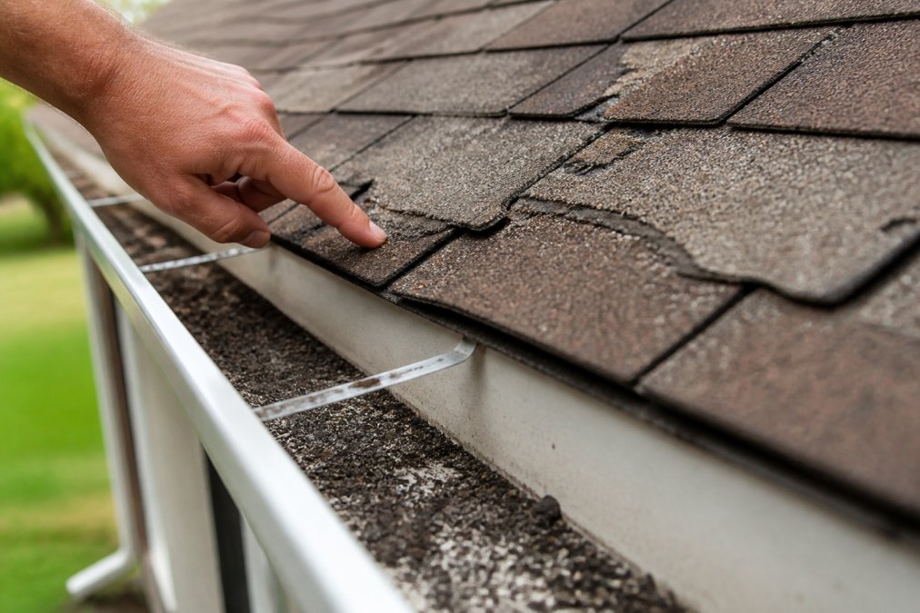 A close-up of a hand pointing at curling and cracked asphalt shingles on a residential roof, showing granule loss in the gutter
