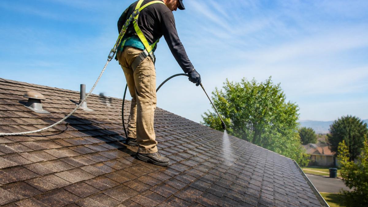 A technician in safety gear applying a plant-based treatment to asphalt shingles on a residential roof, with a sprayer and clean workspace visible