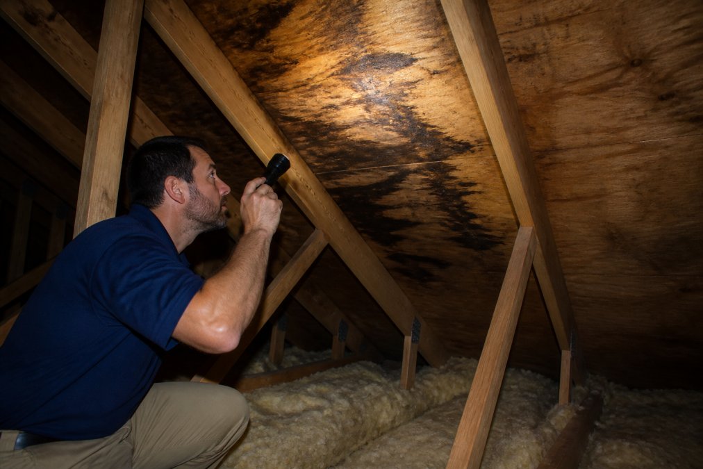 Homeowner using a flashlight to inspect dark water stains on attic sheathing caused by roof leaks