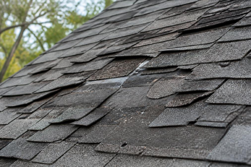 Close-up of residential roof shingles showing visible curling, missing pieces, and dark weathered areas from age and exposure