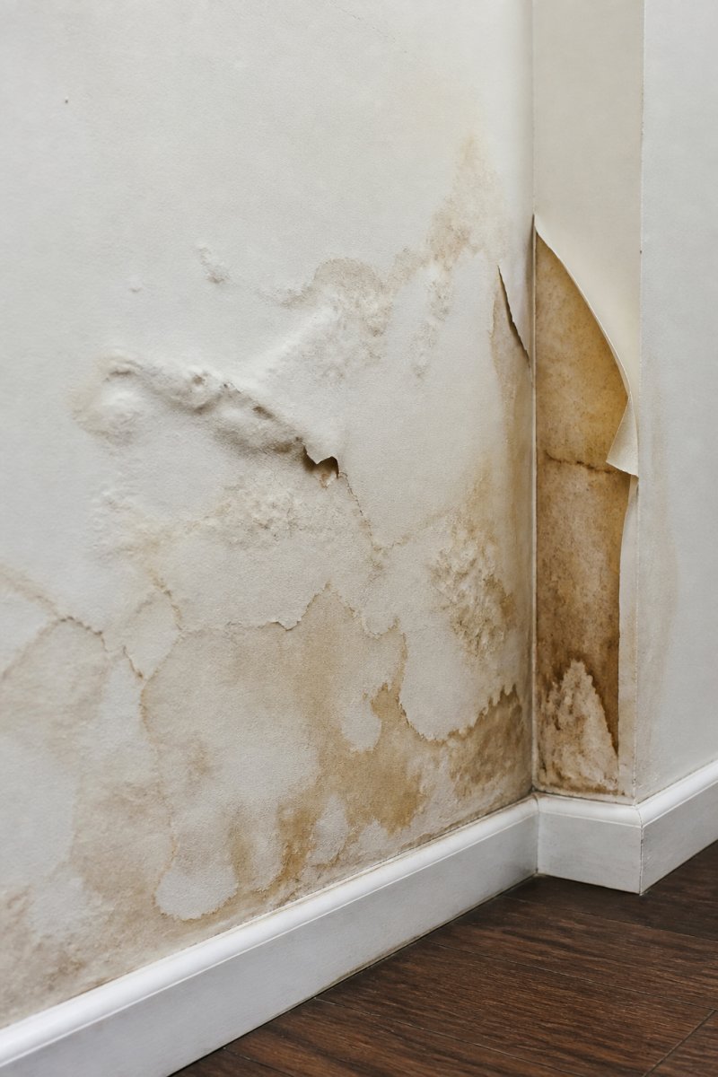 Close-up of interior drywall showing water stains, discolored patches, bubbling paint, and peeling wallpaper damage on a white wall surface with soft natural lighting