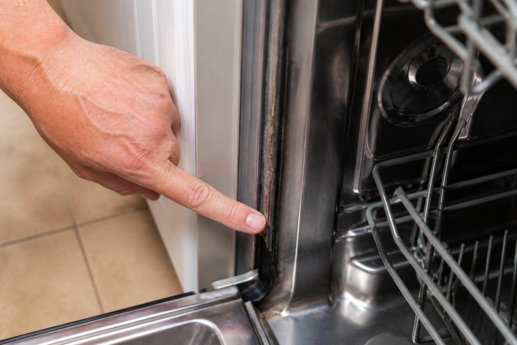 Close-up of a homeowner's hand pointing to the rubber door gasket inside a dishwasher during inspection, showing the seal running along the door frame with visible debris accumulation