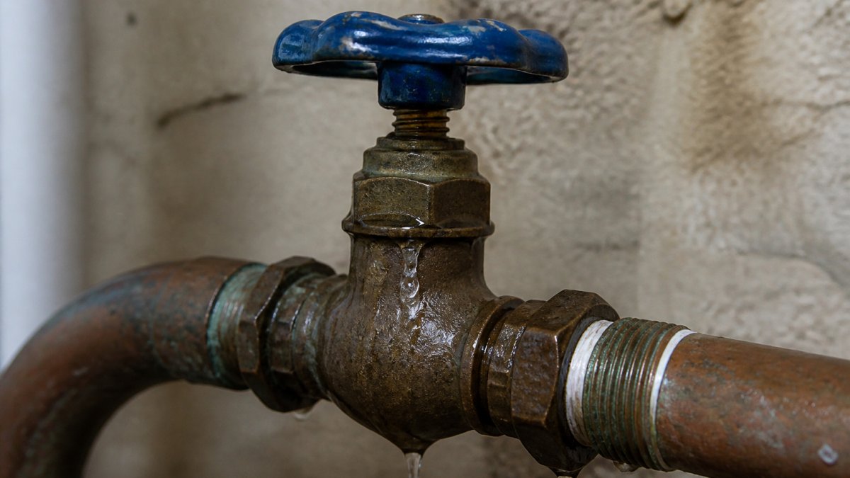 Close-up of a main water shutoff valve with visible water dripping from the packing nut area near the valve handle and connection point