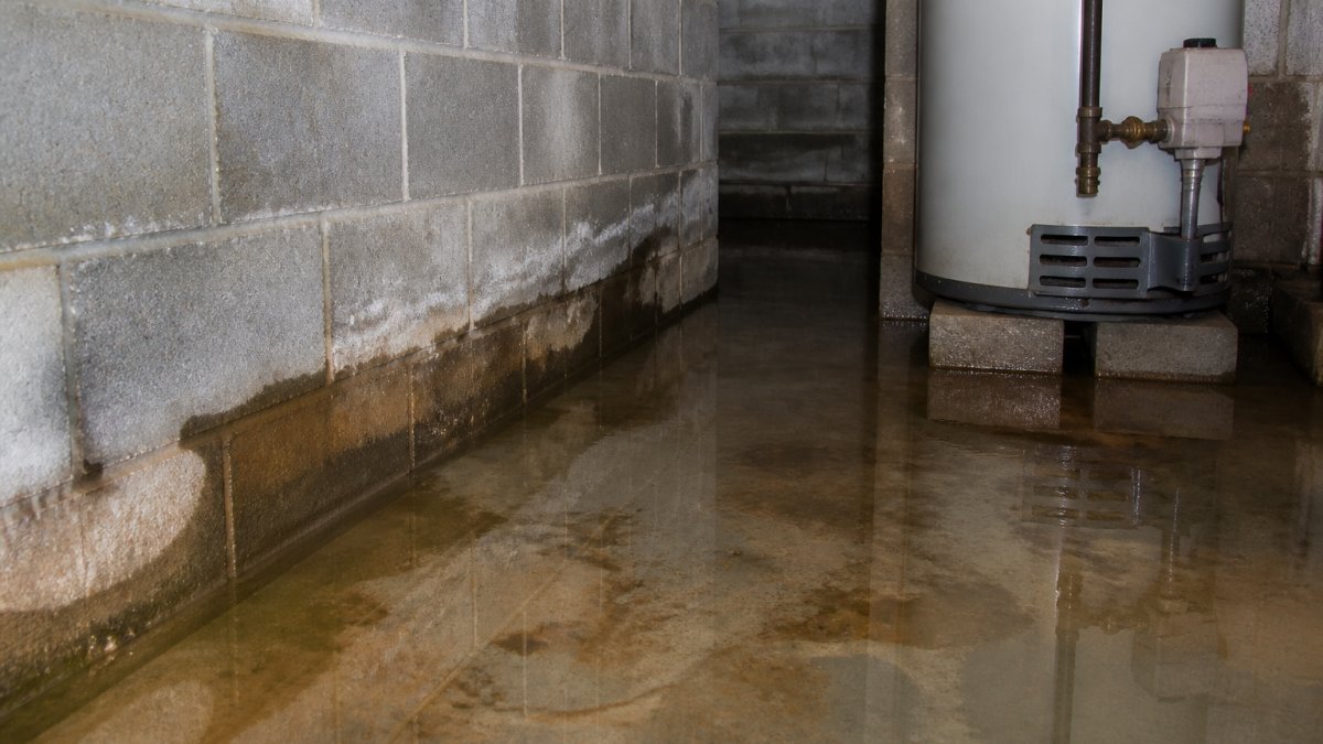 How to Fix a Wet Basement: A Step-by-Step 2026 Guide