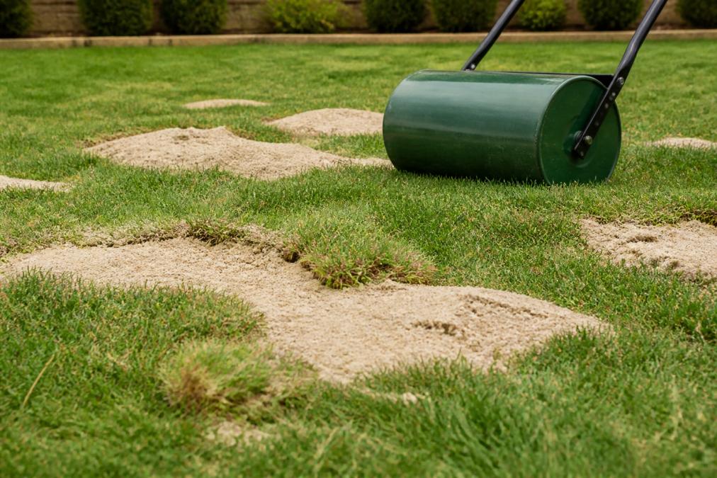Close-up of a residential lawn surface showing visible mounds and shallow depressions being filled with a pale sandy leveling mix, a green lawn roller resting on the grass nearby in warm afternoon light