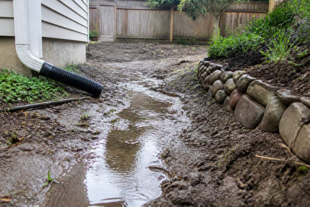 How to Fix Backyard Drainage Issues: 2026 Guide