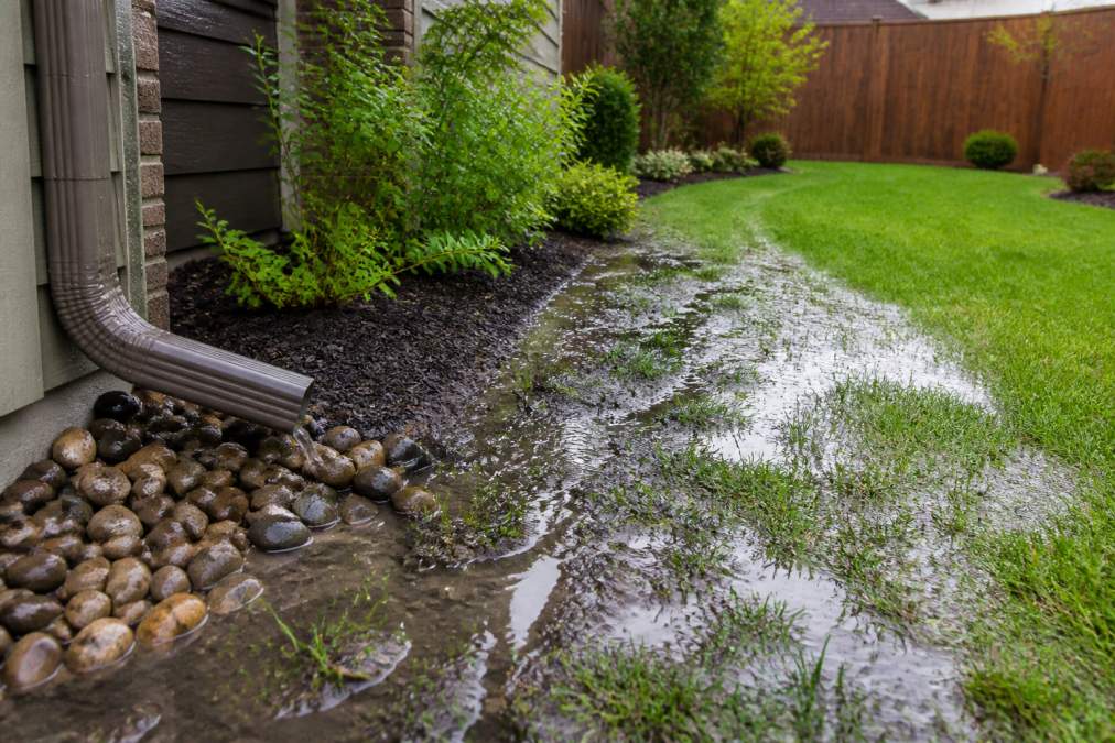 How to Fix Backyard Drainage Issues: 7 Solutions