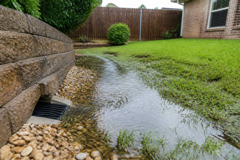 How to Fix Backyard Drainage Issues: Step-by-Step