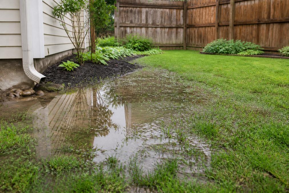 How to Fix Backyard Drainage Problems