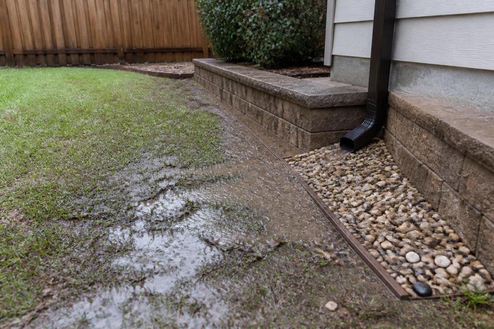 How to Fix Backyard Drainage Problems (2026 Guide)