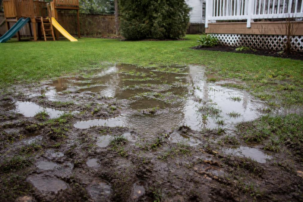 How to Fix Backyard Muddy Spots: 7 Proven Steps