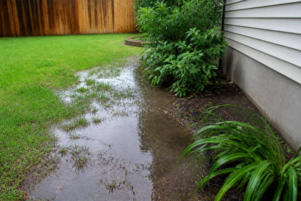 Illustration of standing water in a backyard near a house