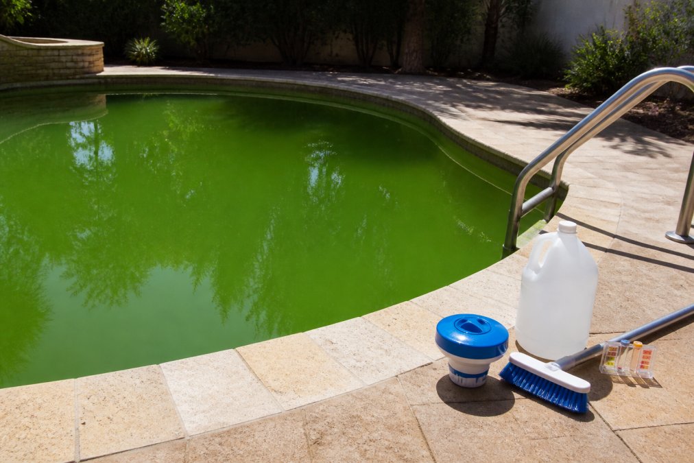 How to Fix Green Pool Water: A Step-by-Step Guide