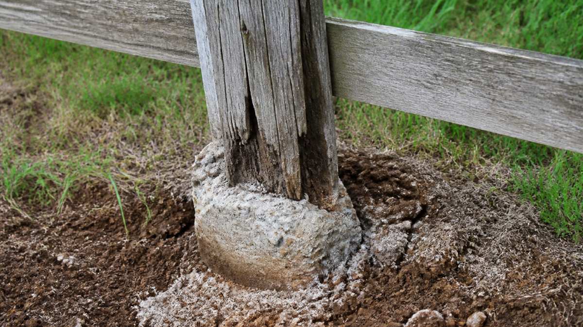 Close-up of weathered fence post showing visible wood rot, cracks in the wood grain, and deteriorating concrete footing at the base with discolored soil