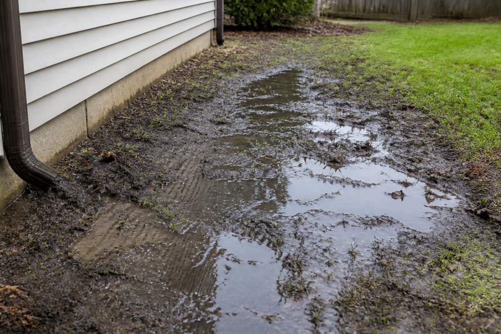 Close-up of muddy residential yard with visible pooling water collecting in low spots, showing soil compaction and water saturation