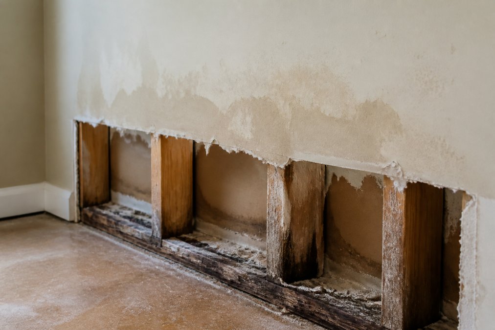 How to Fix Water Damaged Drywall in 7 Steps