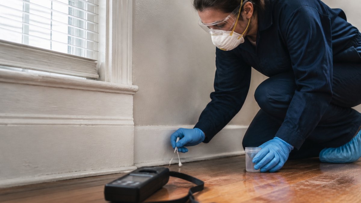 How to Get Lead Safe Certification in Philadelphia