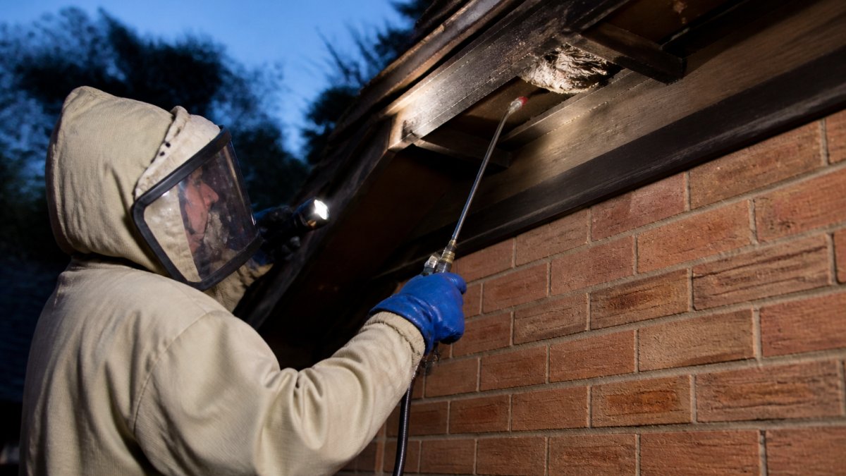 A pest control technician in protective coveralls, gloves and a face shield treating a small wasp nest under a roof eaves at dusk, with a torch and spray lance visible