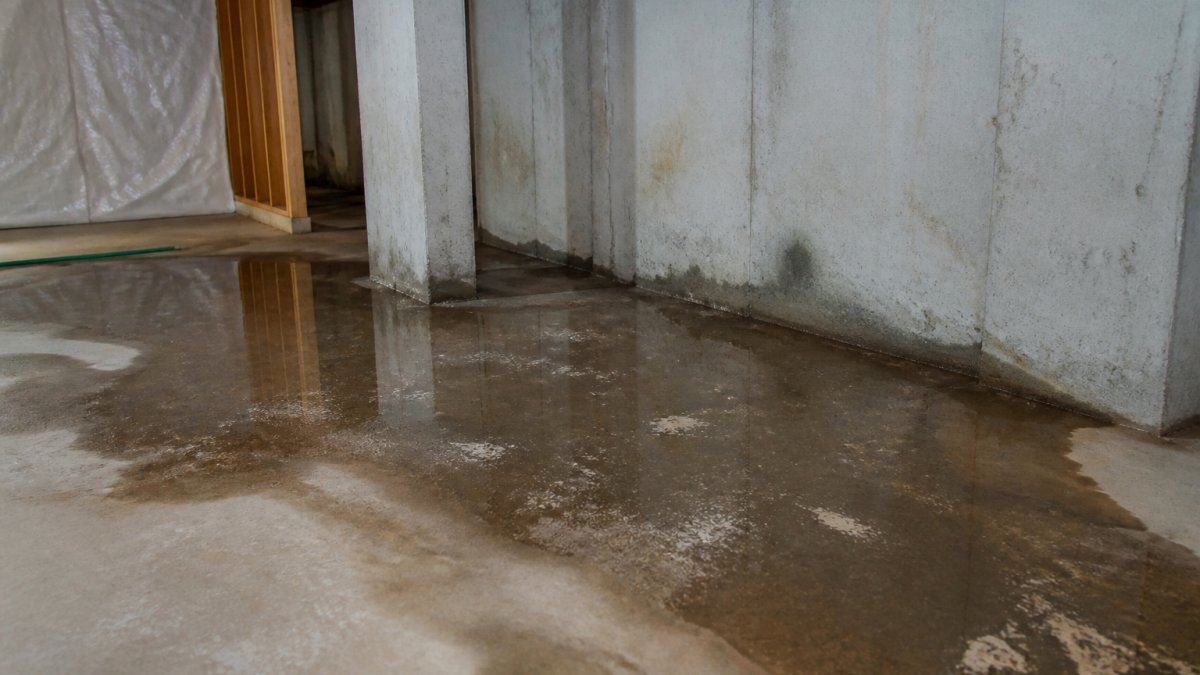 How to Identify Basement Water Intrusion