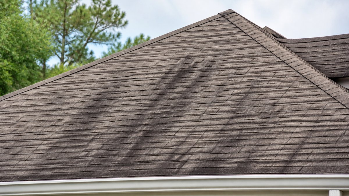How to Identify Dark Streaks on Roof Shingles