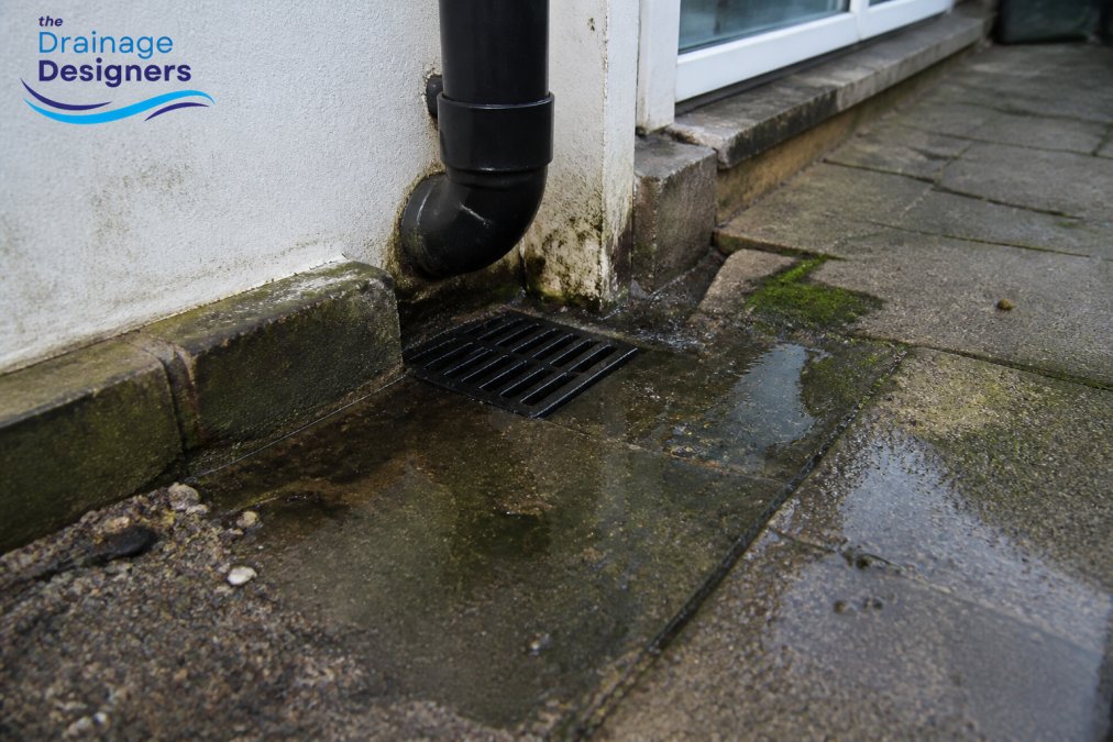 Close-up of damp patches and standing water around a property's exterior drainage area, with visible soil discolouration and moss growth on surrounding paving