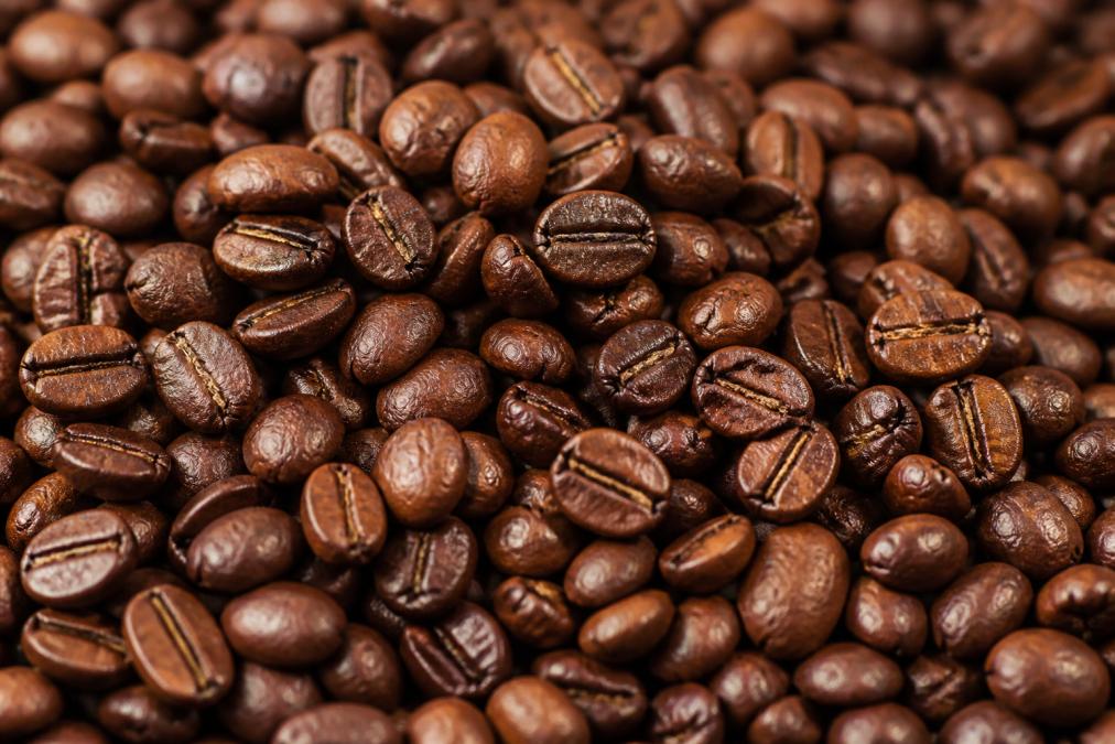 Close-up of freshly roasted coffee beans showing consistent medium-brown color with visible oil sheen on the surface, vibrant depth in the bean tones, and slight texture variation under natural light