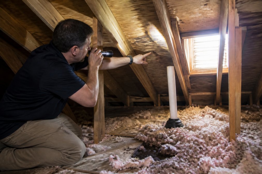 Homeowner using a flashlight to examine attic rafters and decking, pointing at water stains and wet insulation near a roof penetration where light streams through the attic window