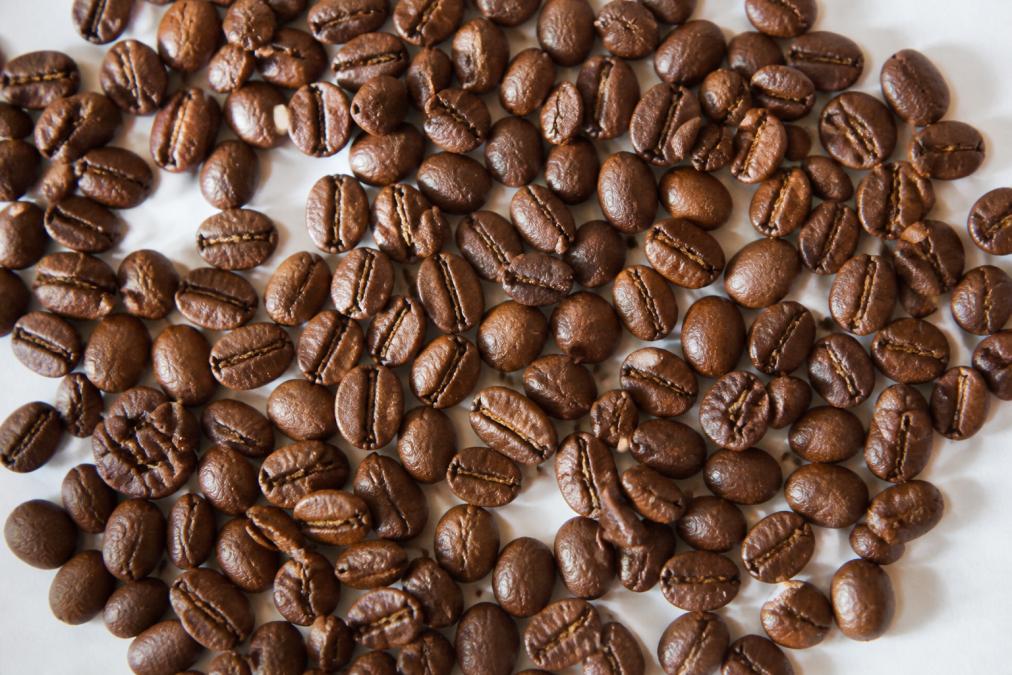 Close-up overhead shot of high-quality specialty coffee beans spread on a white surface, showing uniform size, consistent rich brown color, and intact whole beans with minimal damage or discoloration, natural daylight lighting