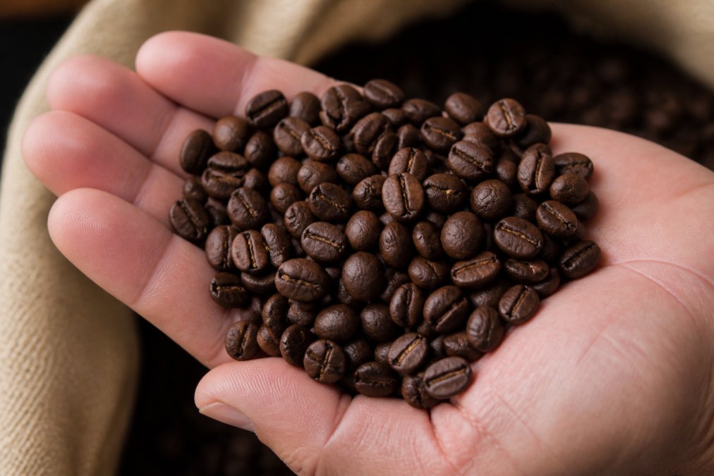 Infographic illustrating how to identify high quality coffee by examining bean color uniformity and density.