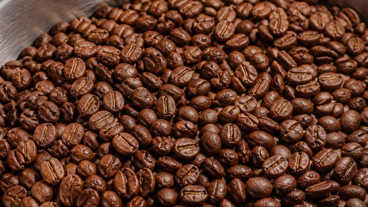 Infographic illustrating the visual traits of high-quality medium-brown roasted coffee beans