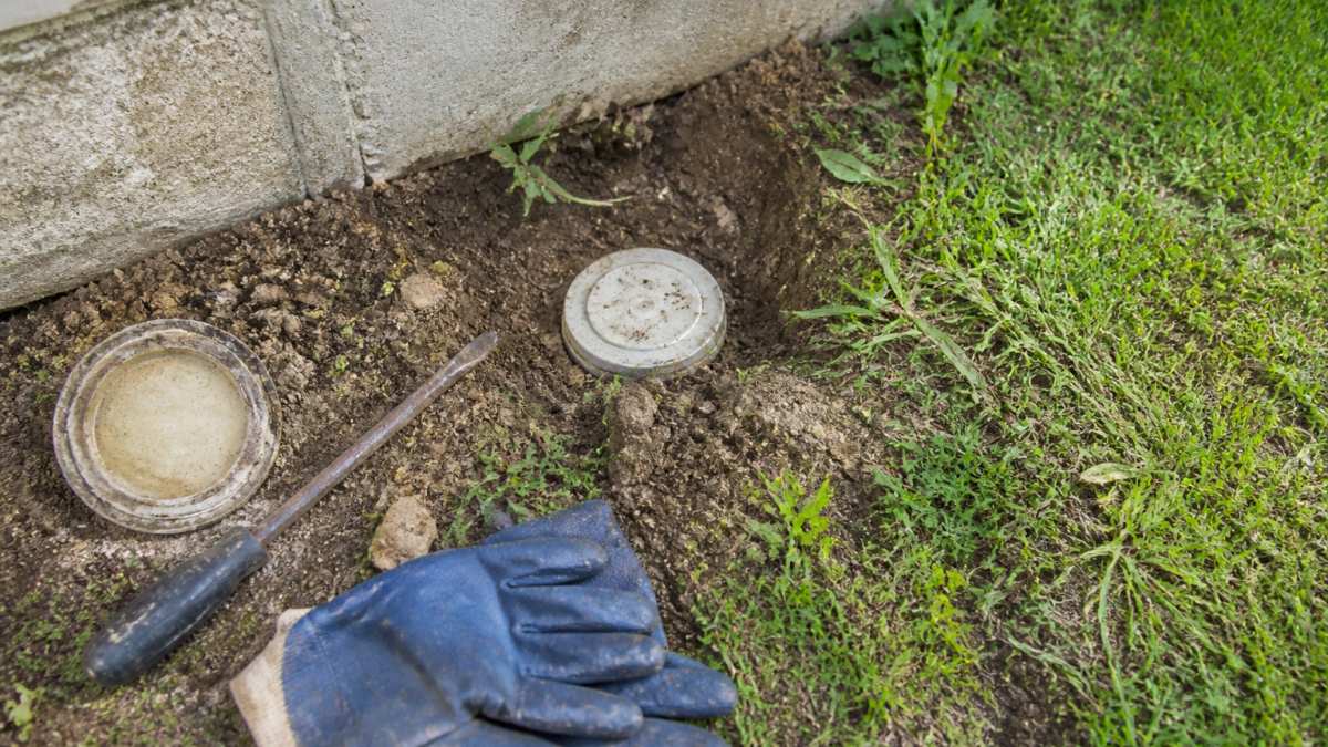 Close-up of a residential sewer cleanout cap partially visible in yard soil with surrounding grass and concrete foundation wall in background
