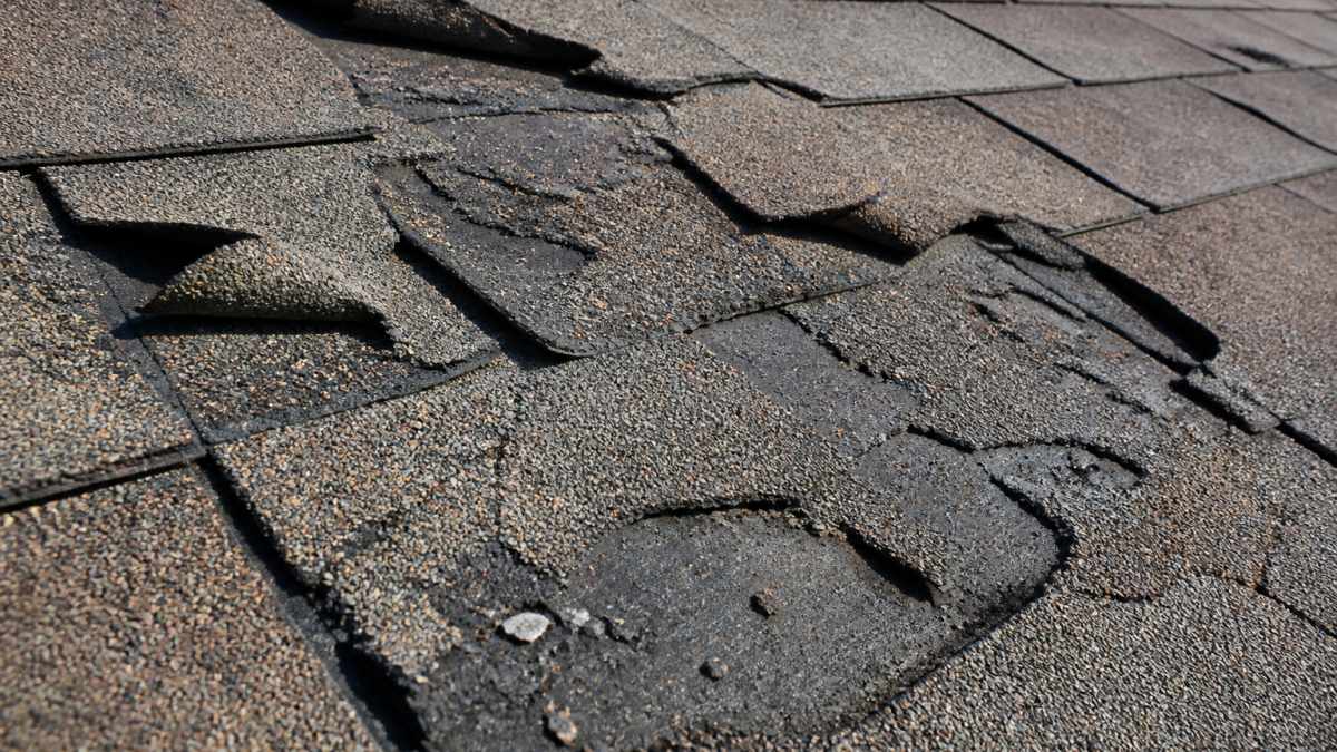 Close-up of deteriorated asphalt shingles showing curling edges, missing granules, cracked seals, and blistering on a residential roof under bright sunlight