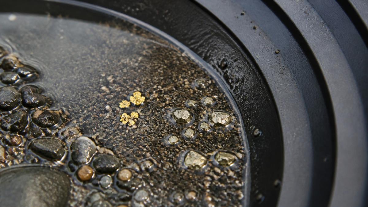 Close-up of a gold pan with water and dark gravel, showing a few bright yellow flakes next to brassy, angular pyrite grains under natural sunlight