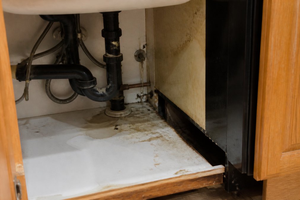 Close-up view of kitchen cabinet interior showing dark crevices, moisture around pipes, and gaps behind appliances where cockroaches typically hide and nest
