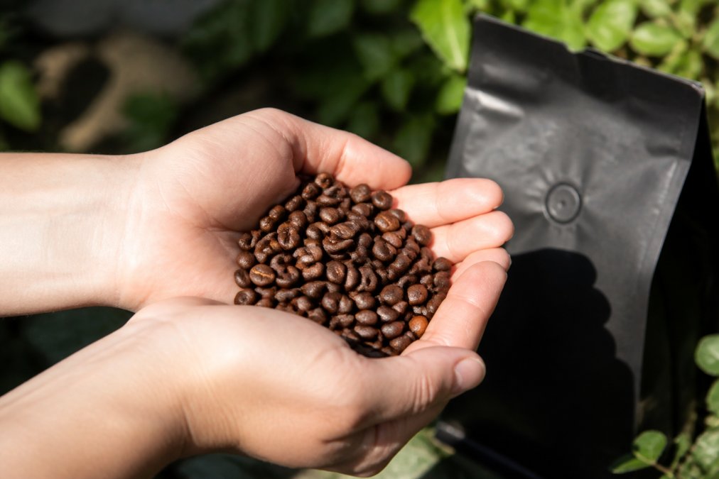 Person's hands holding a small handful of freshly roasted coffee beans in natural daylight, examining the bean surface color and sheen, with a coffee bag blurred in the background